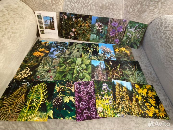 Набор открыток 