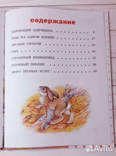 Сказки лесной опушки