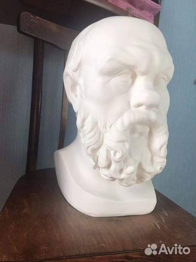 Бюст