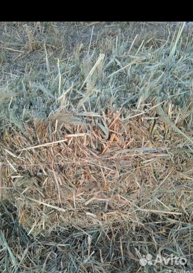 Салома с травой