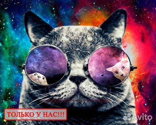 Картина по номерам 40x50 Кот в космических очках с