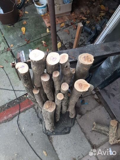 Древесина самшит