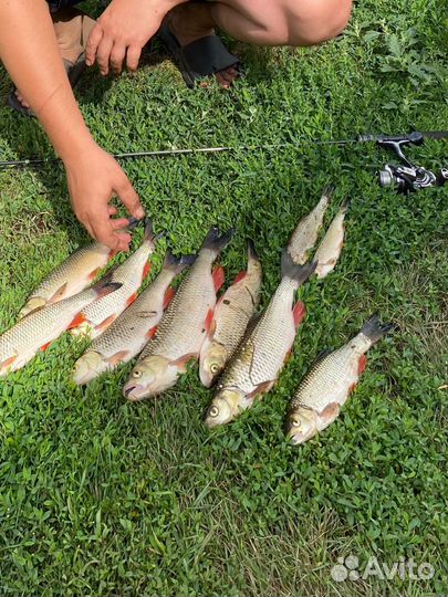 Спиннинг ультралайт с катушкой