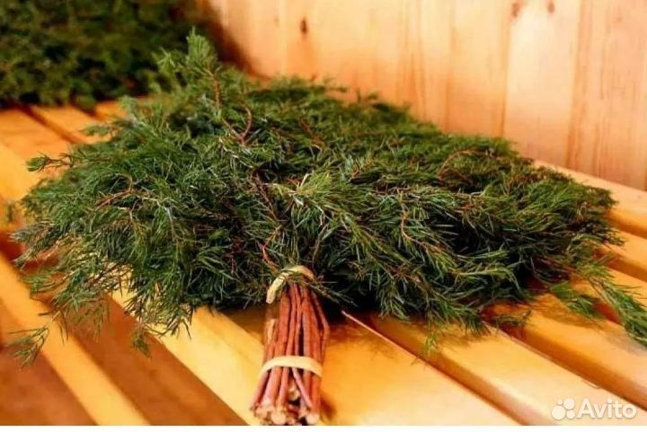 Веники для бани из можевельника