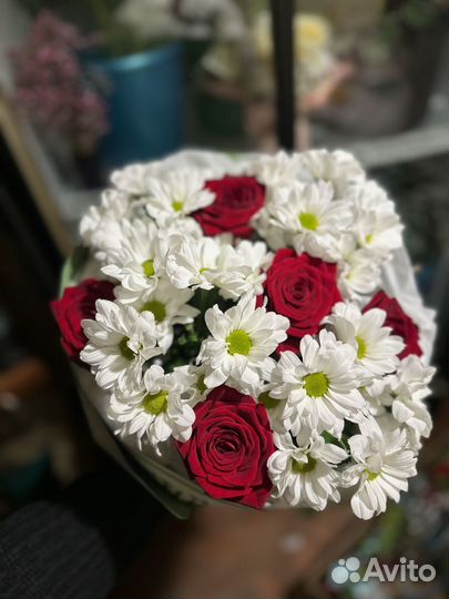 Розы премиум