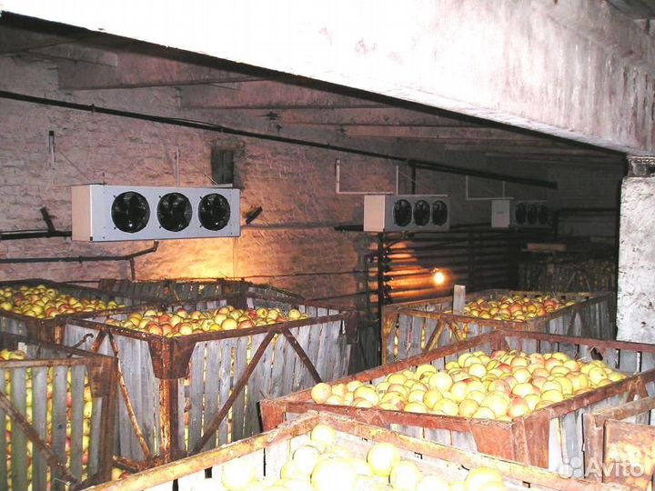 Холодильные Установки для Овощей и Фруктов.Крым