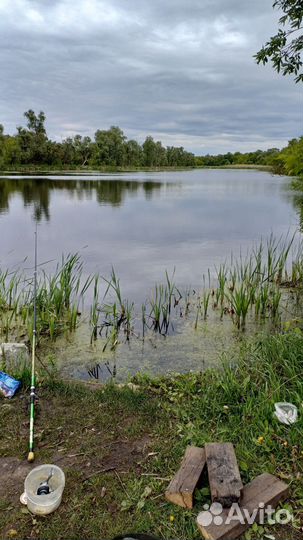 Платная рыбалка воронеж