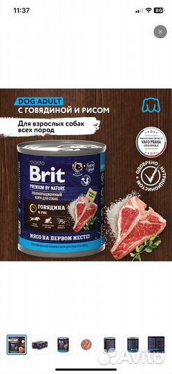 Корм для собак сухой brit и best dinner