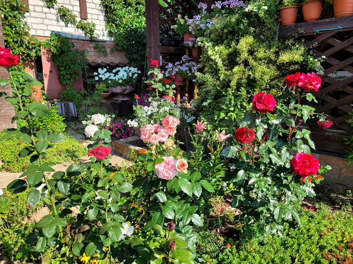 Дача 50 м² на участке 4,5 сот.