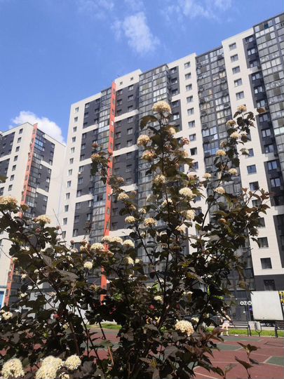 2-к. квартира, 42 м², 8/16 эт.