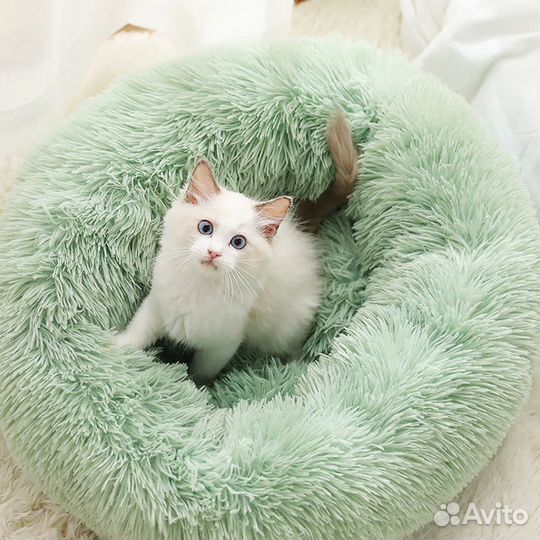 Лежанка для кота