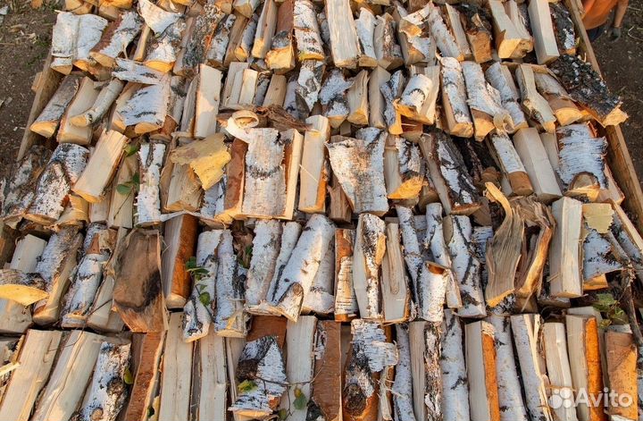 Дрова березовые