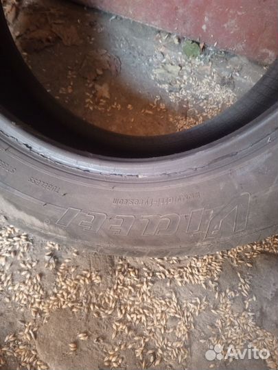 Tigar Winter 205/60 R16 92