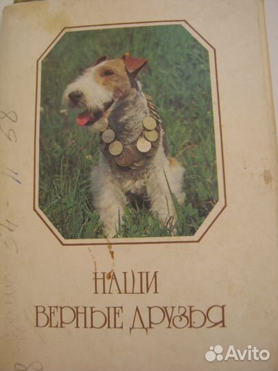 Открытки