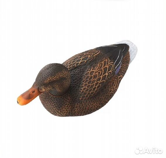 Чучело Кряква утка 