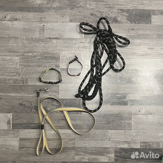 Амуниция для собак