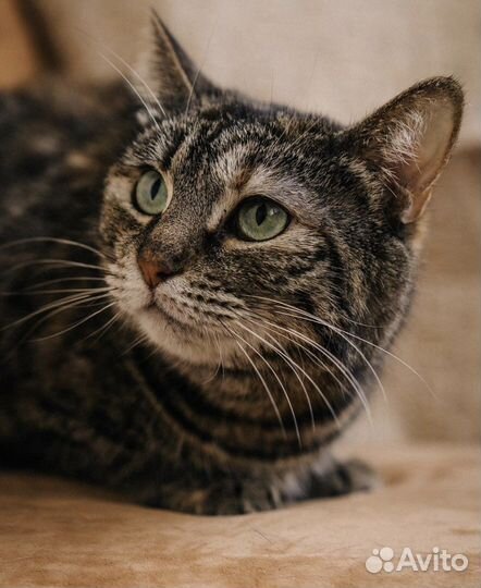 Милочка уже 2 года ждет тебя