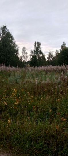 Участок 5,4 га (СНТ, ДНП)