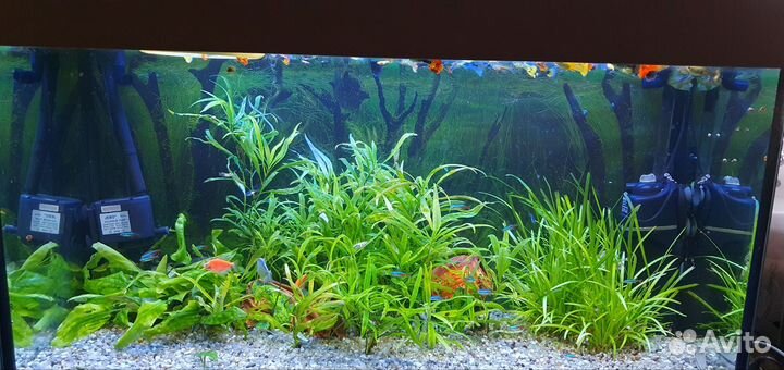 Чистка аквариума