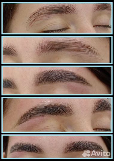 Мастер бровист