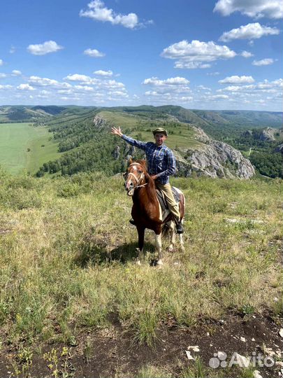 Конные прогулки