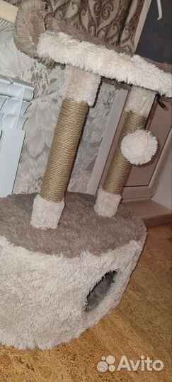 Когтеточка