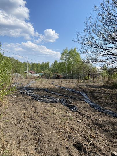 Участок 6 сот. (СНТ, ДНП)