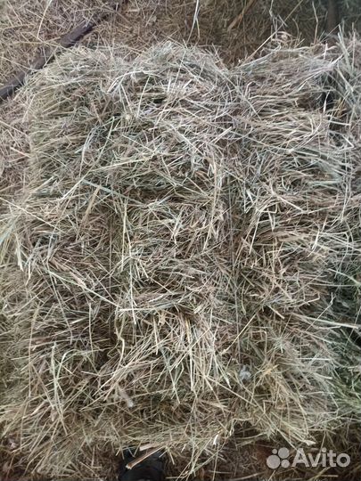 Сено в тюках