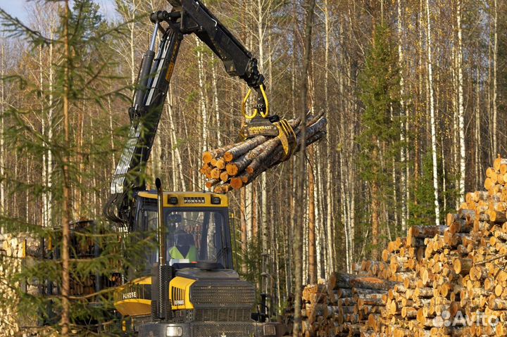 Инвестиции в лесную промышленность