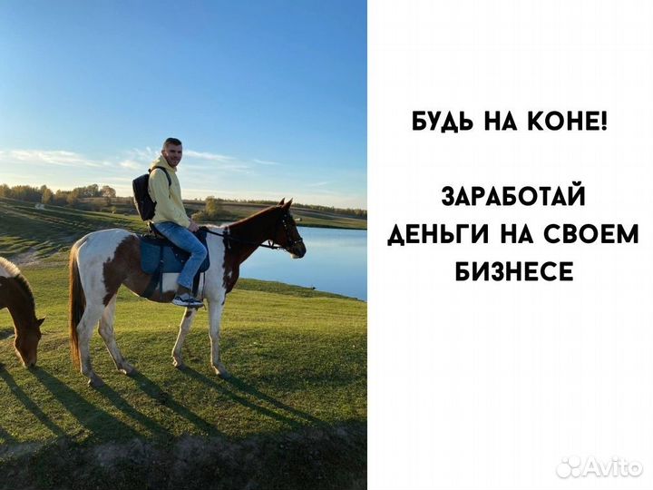 Готовый бизнес Дропшиппинг