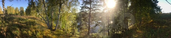 Участок 1,18 га (СНТ, ДНП)