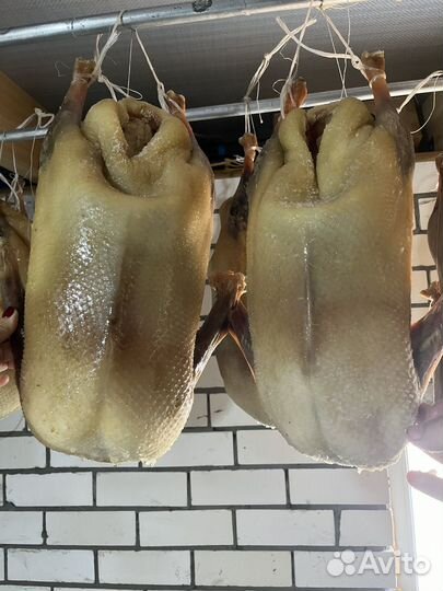 Гусь вяленый