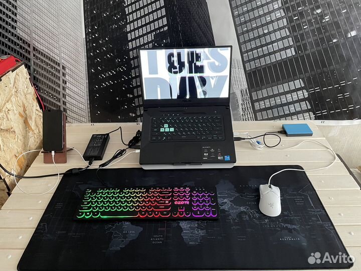 Asus TUF dash FX516PM