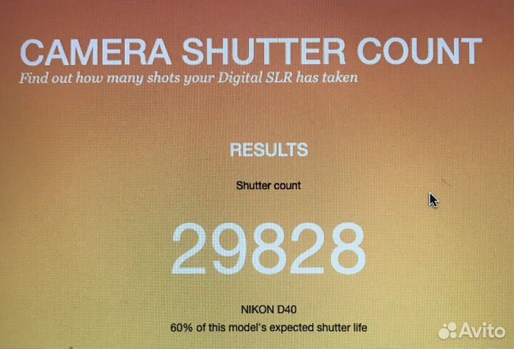 Зеркальный фотоаппарат nikon d40