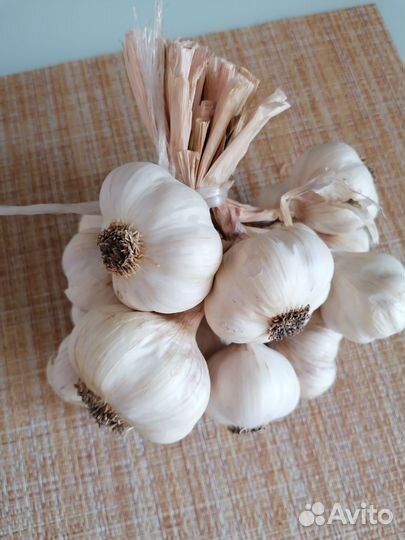 Чеснок