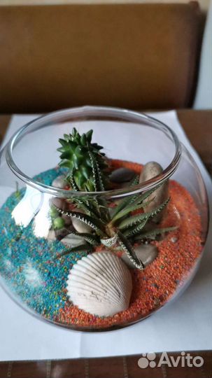 Флорариум с суккулентами 