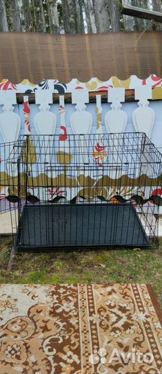 Клетка для собак