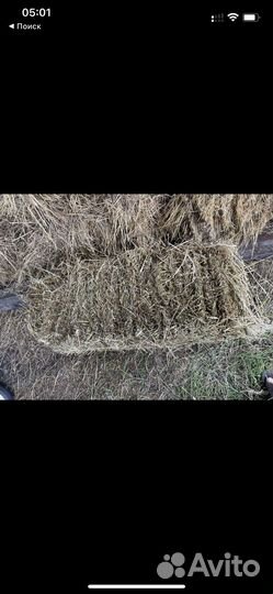 Сено разнотравье в тюках