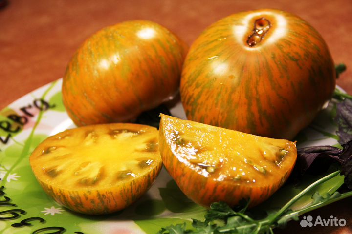 Рассада коллекционных томатов