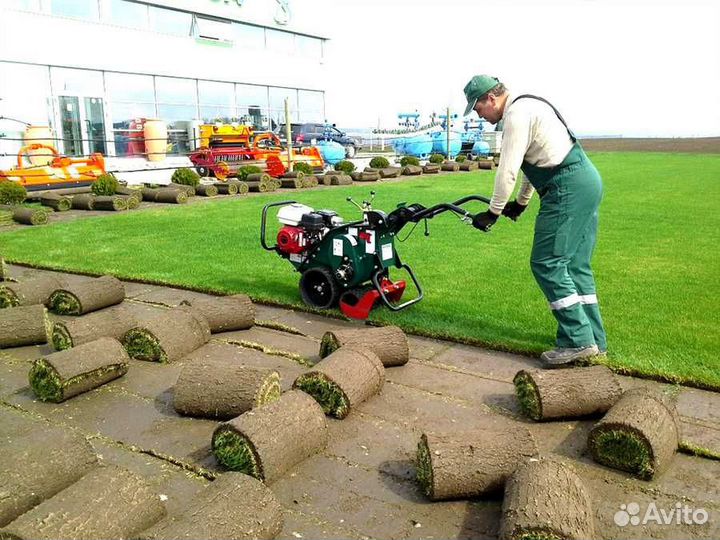 Рулонный газон, укладка рулонного газона