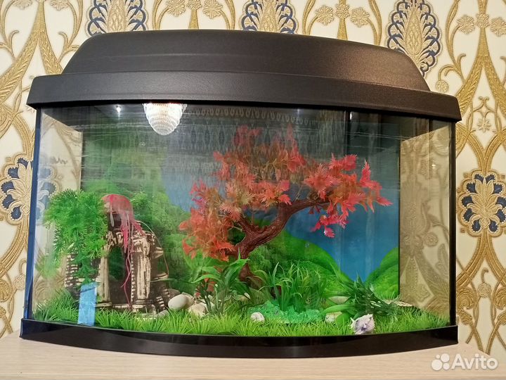 Аквариум