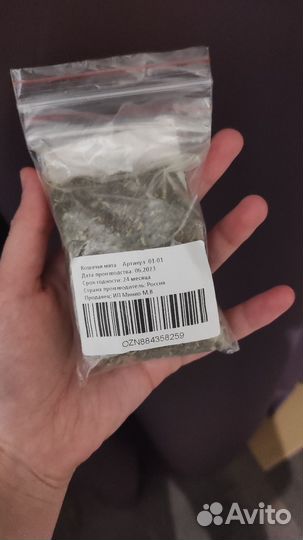 Кошачья мята бесплатно