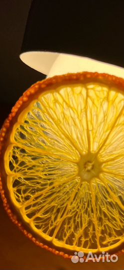 Апельсин сушеный. Ломтики для декора