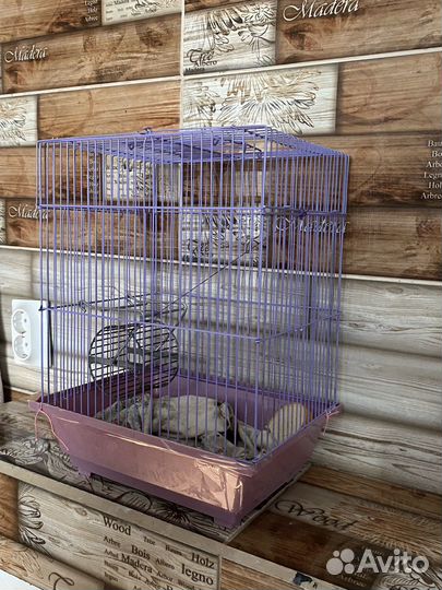 Хомяк с клеткой