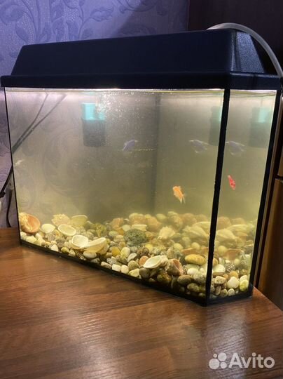 Аквариум