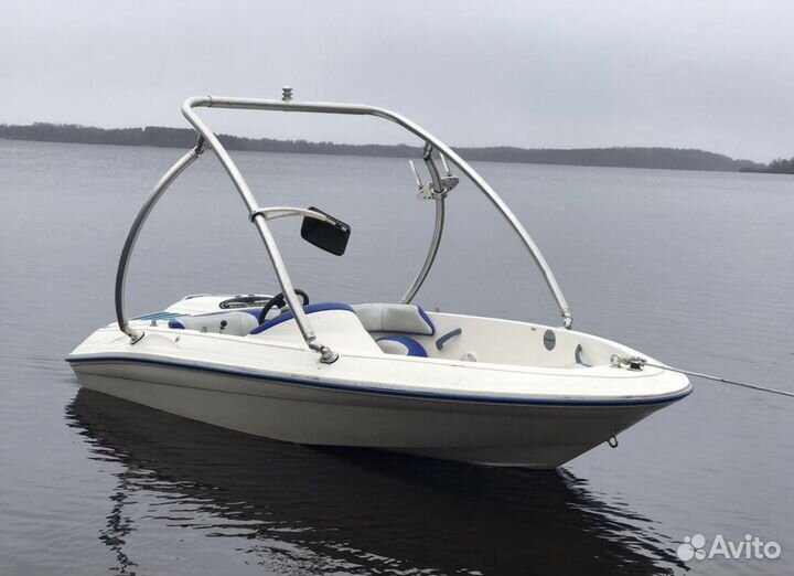 Sea ray rayder mercury 120