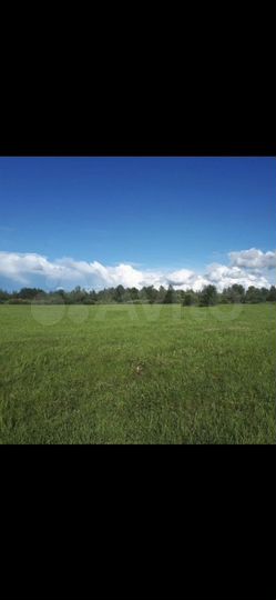 Участок 4,18 га (СНТ, ДНП)