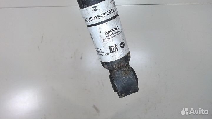 Амортизатор подвески Chrysler Pacifica, 2020