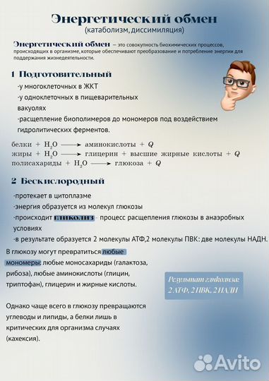 Репетитор по биологии