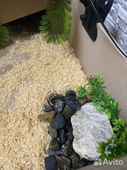 Вольер для рептилий и земноводных